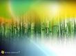 'Windows 7 Bambu' papel de parede, imagem gr�tis