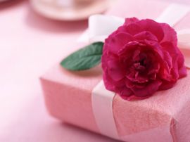 Papel de parede 'Rosa e presente'