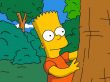 'Os Simpsons - Bart' papel de parede, imagem gr�tis
