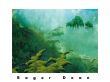 'Roger Dean: a inspira��o de James Cameron' papel de parede, imagem gr�tis