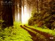 'Jo�o 14:6' papel de parede, imagem gr�tis