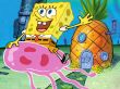 'Bob Esponja e a �gua-viva' papel de parede, imagem gr�tis