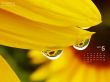 'Flores de Maio' papel de parede, imagem gr�tis