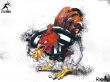 'Atl�tico Mineiro - Campe�o Mineiro 2010' papel de parede, imagem gr�tis