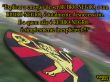 'Sport Clube Recife' papel de parede, imagem gr�tis