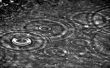 'Gotas de Chuva' papel de parede, imagem gr�tis