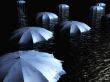 'Guarda-chuvas' papel de parede, imagem gr�tis