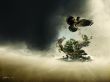 'P�ssaros - Terra Fant�stica' papel de parede, imagem gr�tis