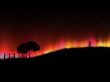 '�rvore e a Aurora Boreau' papel de parede, imagem gr�tis
