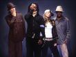 'Black Eyed Peas' papel de parede, imagem gr�tis