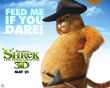 'Shrek Forever - Gato de Botas' papel de parede, imagem gr�tis