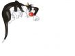 'Looney Tunes - Frajola' papel de parede, imagem gr�tis