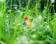 'Windows Vista' papel de parede, imagem gr�tis