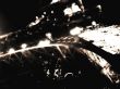 'Torre Eiffel - Paris' papel de parede, imagem gr�tis