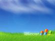 'Windows Vista' papel de parede, imagem gr�tis