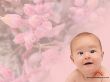 'Beb� e flor' papel de parede, imagem gr�tis