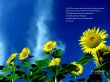 'Salmo 118:14-16' papel de parede, imagem gr�tis