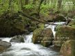 'Prov�rbios 19:11' papel de parede, imagem gr�tis