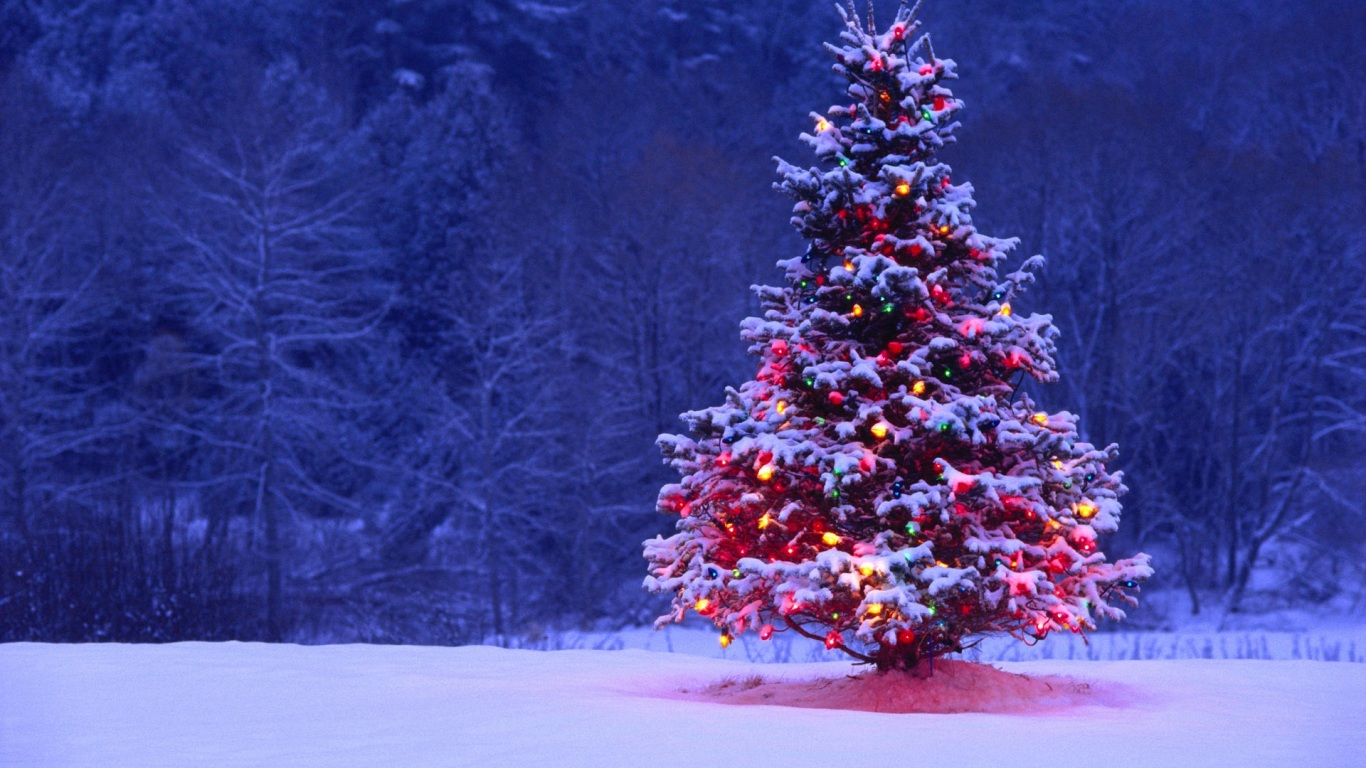 Top 15 papéis de parede árvore de natal na neve - Papel de Parede Top 15 papéis de parede árvore de natal na neve - Papel de Parede