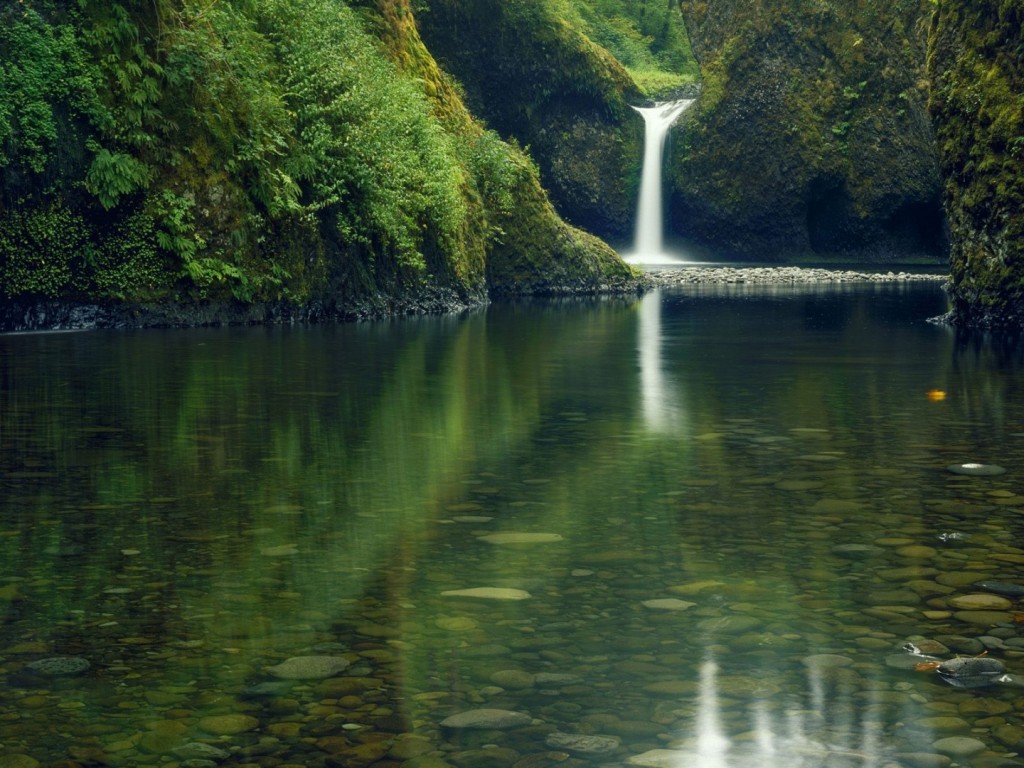 Papel de parede Lago na Floresta para download gratuito. Use no computador pc, mac, macbook, celular, smartphone, iPhone, onde quiser!