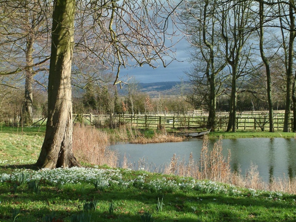 Papel de parede Lago Na Primavera para download gratuito. Use no computador pc, mac, macbook, celular, smartphone, iPhone, onde quiser!