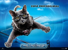 Papel de parede Espiã Profissional Miau – Como Cães e Gatos