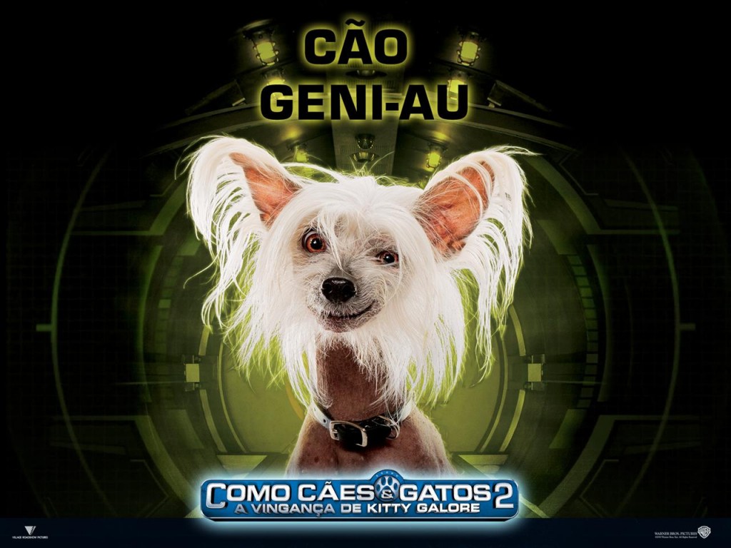 Papel de parede Cão Geni-Au – Como Cães e Gatos para download gratuito. Use no computador pc, mac, macbook, celular, smartphone, iPhone, onde quiser!