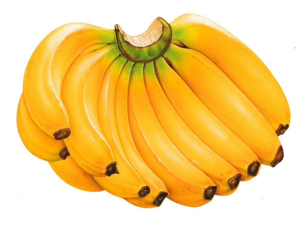 Papel de parede Muitas Bananas para download gratuito. Use no computador pc, mac, macbook, celular, smartphone, iPhone, onde quiser!
