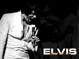 Papel de parede Elvis – Emoção