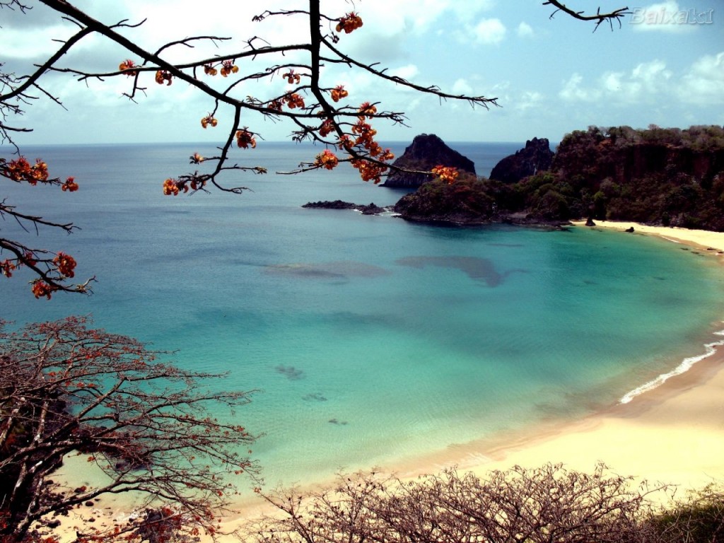 Papel de parede Fernando de Noronha: Bela Praia para download gratuito. Use no computador pc, mac, macbook, celular, smartphone, iPhone, onde quiser!