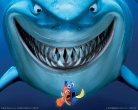 Papel de parede Procurando Nemo