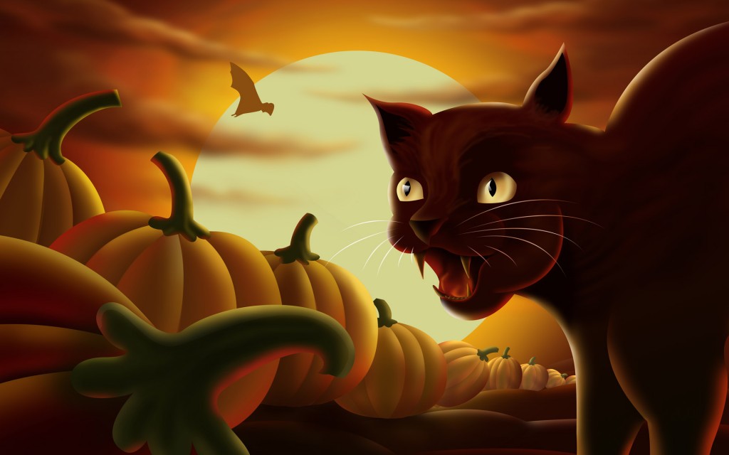 Papel de parede Gato na Noite de Halloween para download gratuito. Use no computador pc, mac, macbook, celular, smartphone, iPhone, onde quiser!