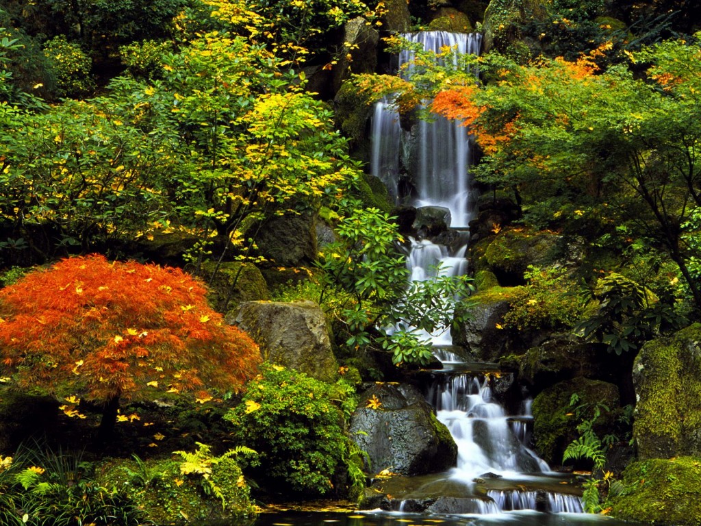 Papel de parede Japão – Jardim para download gratuito. Use no computador pc, mac, macbook, celular, smartphone, iPhone, onde quiser!