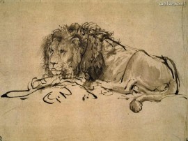 Papel de parede Leão – Rembrandt