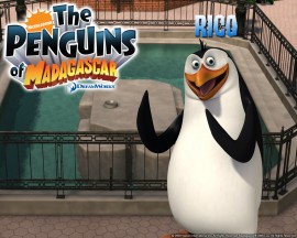 Papel de parede Pinguins de Madagascar – Rico