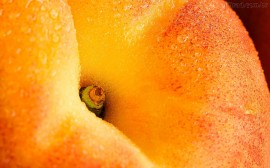 Papel de parede Pêssego: Fruta