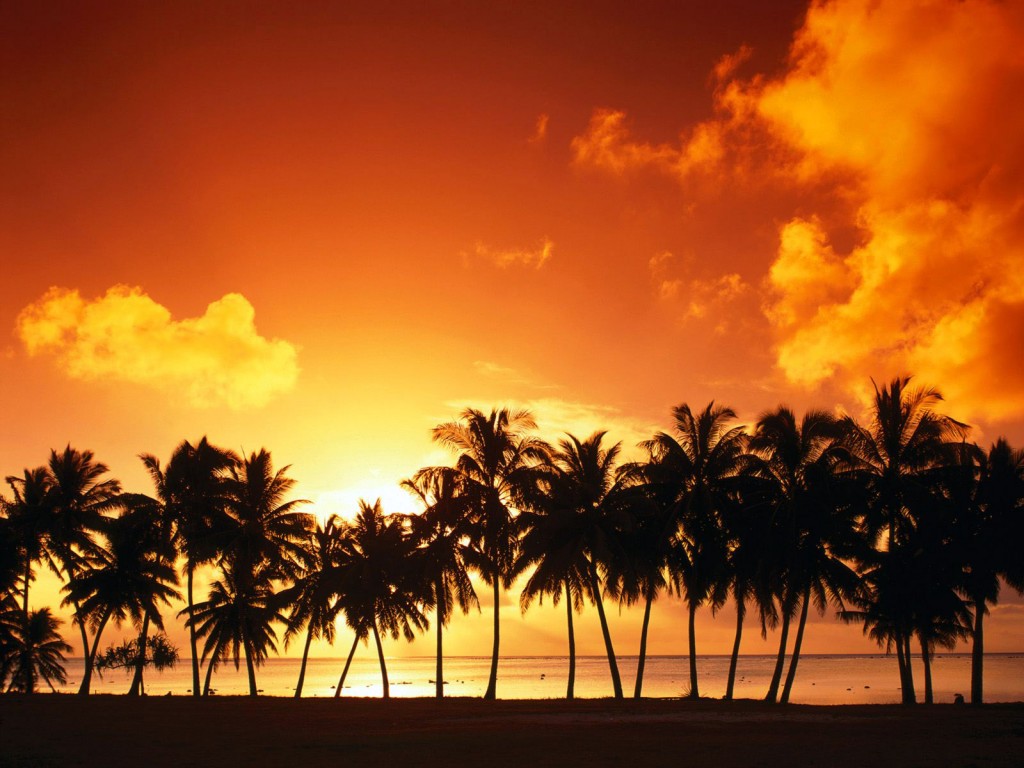 Papel de parede Pôr-do-sol na Praia: Tropical para download gratuito. Use no computador pc, mac, macbook, celular, smartphone, iPhone, onde quiser!