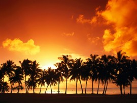 Papel de parede Pôr-do-sol na Praia: Tropical