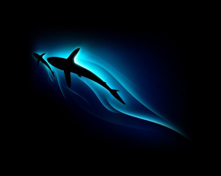 Papel de parede Sombra de Tubarões para download gratuito. Use no computador pc, mac, macbook, celular, smartphone, iPhone, onde quiser!