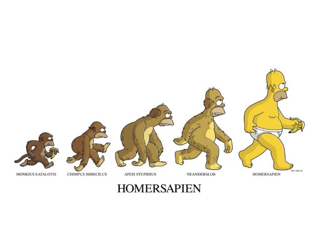 Papel de parede Os Simpsons – Evolução de Homer para download gratuito. Use no computador pc, mac, macbook, celular, smartphone, iPhone, onde quiser!