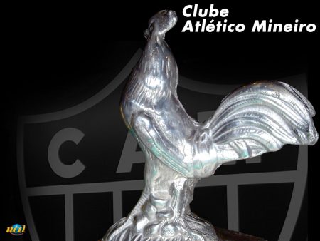 Papel de parede Atlético Mineiro – Galo Campeão para download gratuito. Use no computador pc, mac, macbook, celular, smartphone, iPhone, onde quiser!