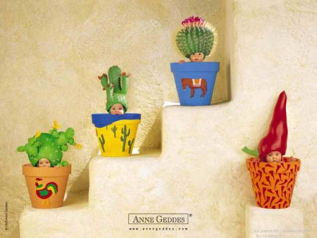 Papel de parede Bebês Mexicanos de Anne Geddes para download gratuito. Use no computador pc, mac, macbook, celular, smartphone, iPhone, onde quiser!