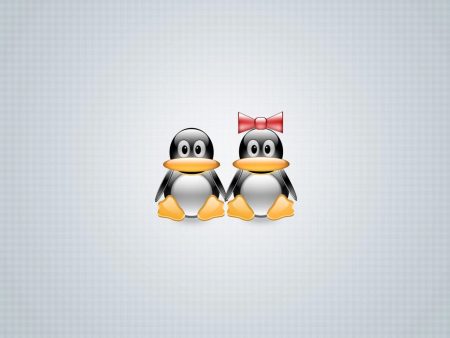 Papel de parede Casal Linux para download gratuito. Use no computador pc, mac, macbook, celular, smartphone, iPhone, onde quiser!