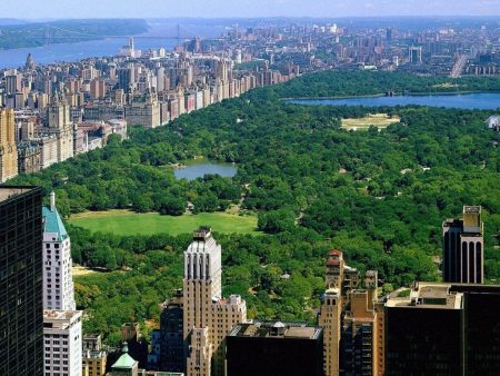 Papel de parede Central Park para download gratuito. Use no computador pc, mac, macbook, celular, smartphone, iPhone, onde quiser!