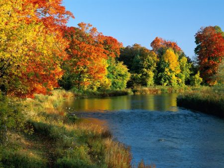 Papel de parede Credit River Ontario para download gratuito. Use no computador pc, mac, macbook, celular, smartphone, iPhone, onde quiser!