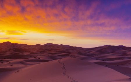 Papel de parede Dunas do Deserto do Sahara para download gratuito. Use no computador pc, mac, macbook, celular, smartphone, iPhone, onde quiser!