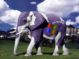 Papel de parede Elefante Windows XP