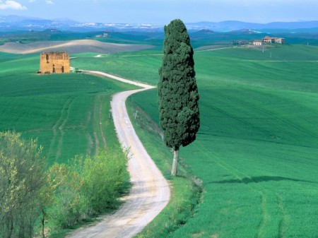 Papel de parede Estrada Rural da Toscana para download gratuito. Use no computador pc, mac, macbook, celular, smartphone, iPhone, onde quiser!