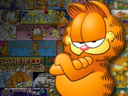 Papel de parede Garfield – rei das tirinhas! para download gratuito. Use no computador pc, mac, macbook, celular, smartphone, iPhone, onde quiser!