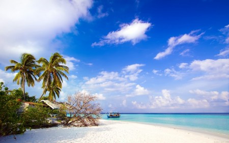 Papel de parede Ilha Dhiggiri, Maldívias para download gratuito. Use no computador pc, mac, macbook, celular, smartphone, iPhone, onde quiser!